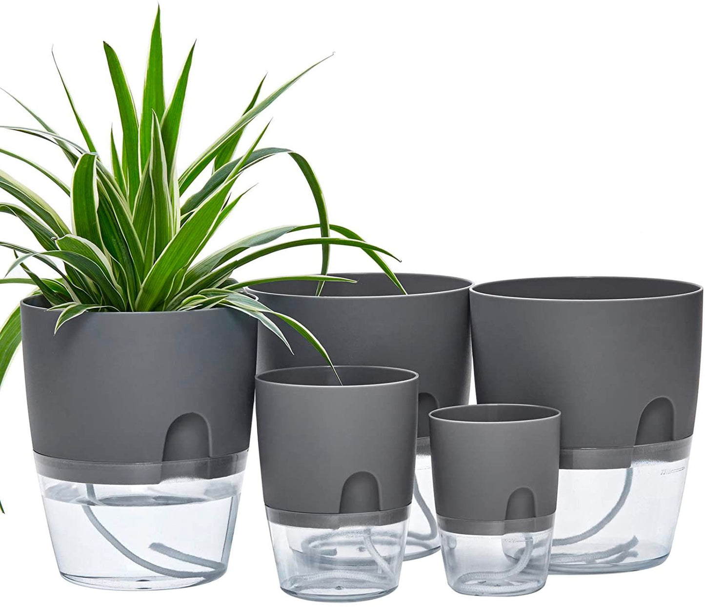 SELF WATERING POTS